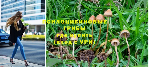 герыч Вязники